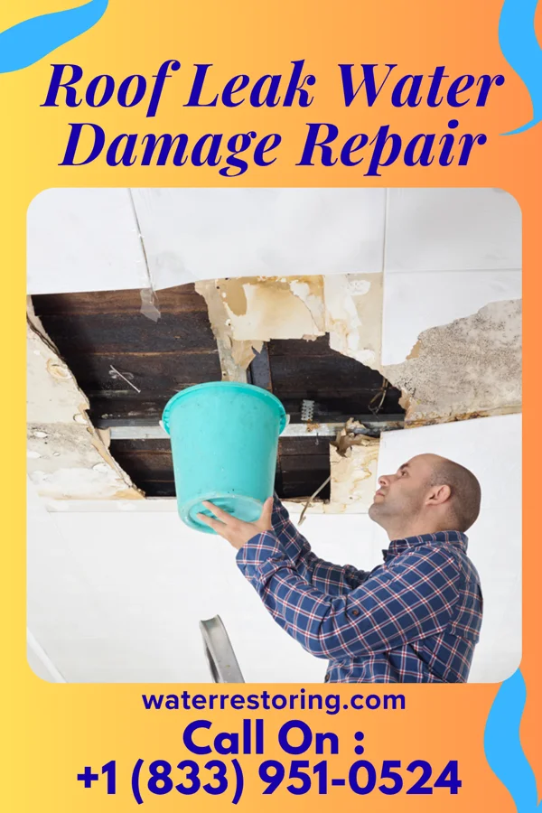 Roof Leak Water Damage Repair in Highland, AR